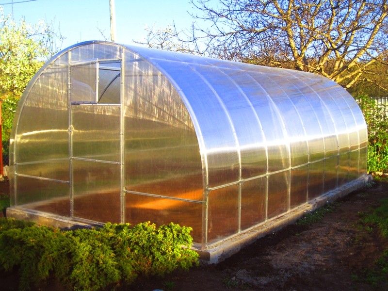 теплицы теплицы